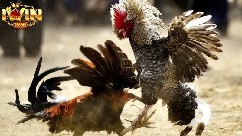 Đặt Giới Hạn Cho Bản Thân